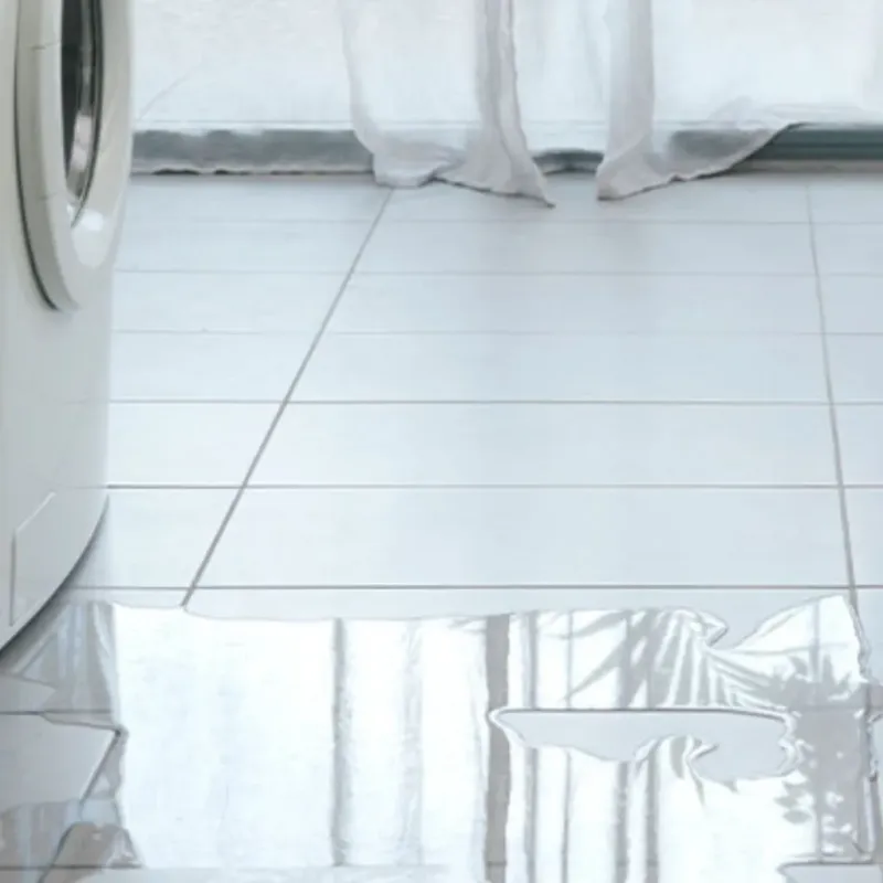 Appliance Leak Cleanup in Lake Shore, WA